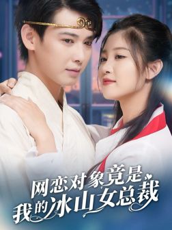 网恋对象竟是我的冰山女总裁全集