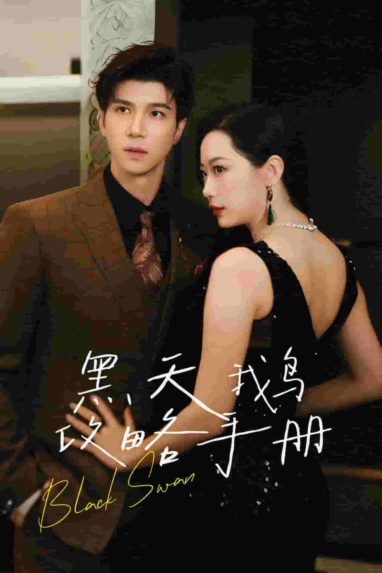 黑天鹅攻略手册全集