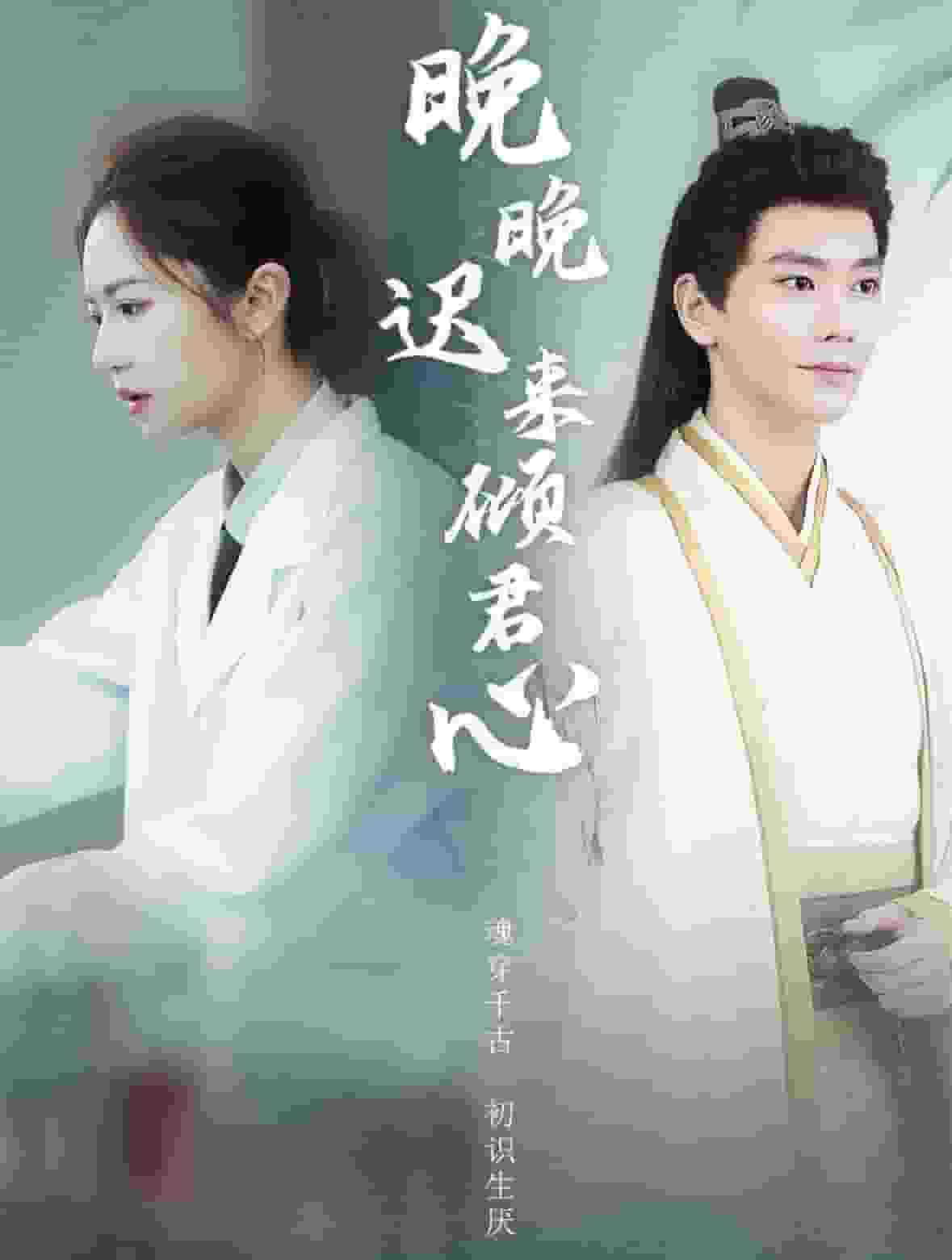 晚晚迟来倾君心全集