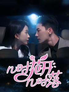 几时花开几时落全集