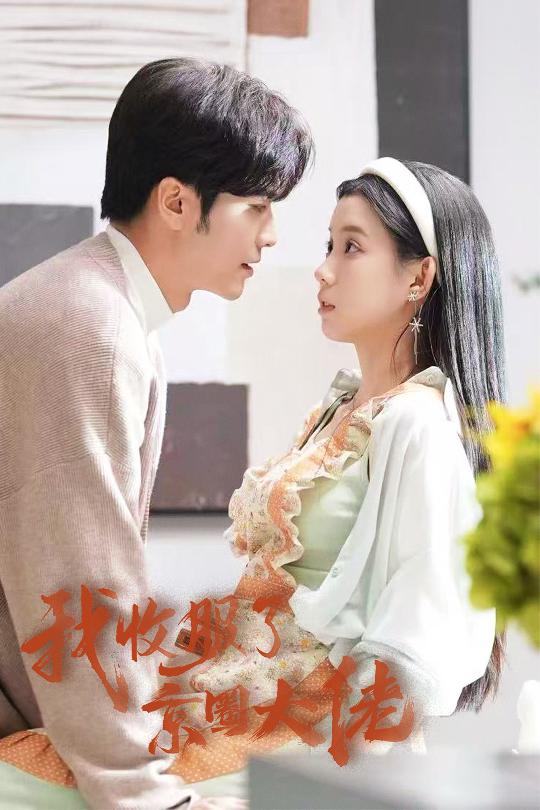 我收服了京圈大佬全集