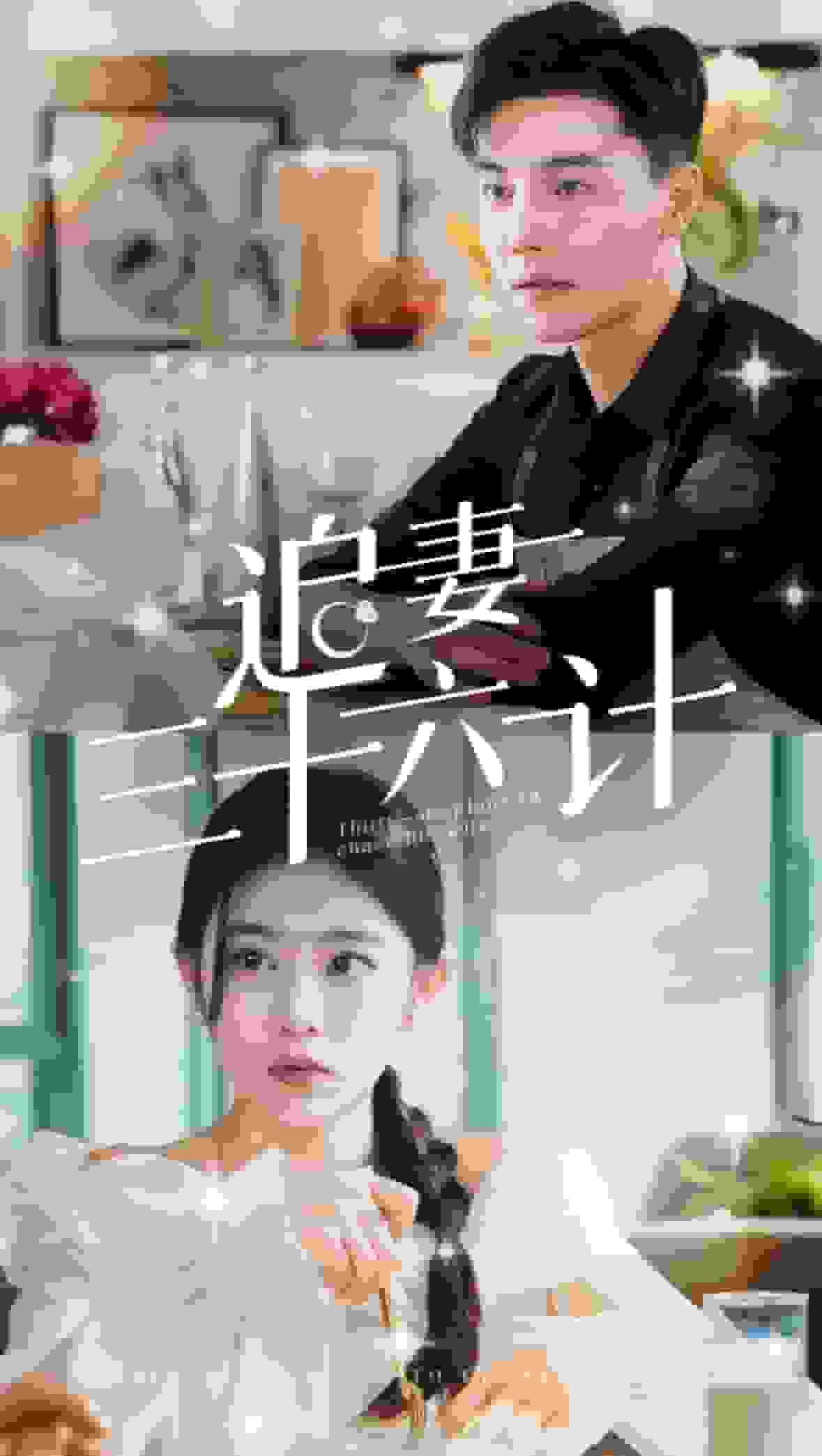 追妻三十六计全集