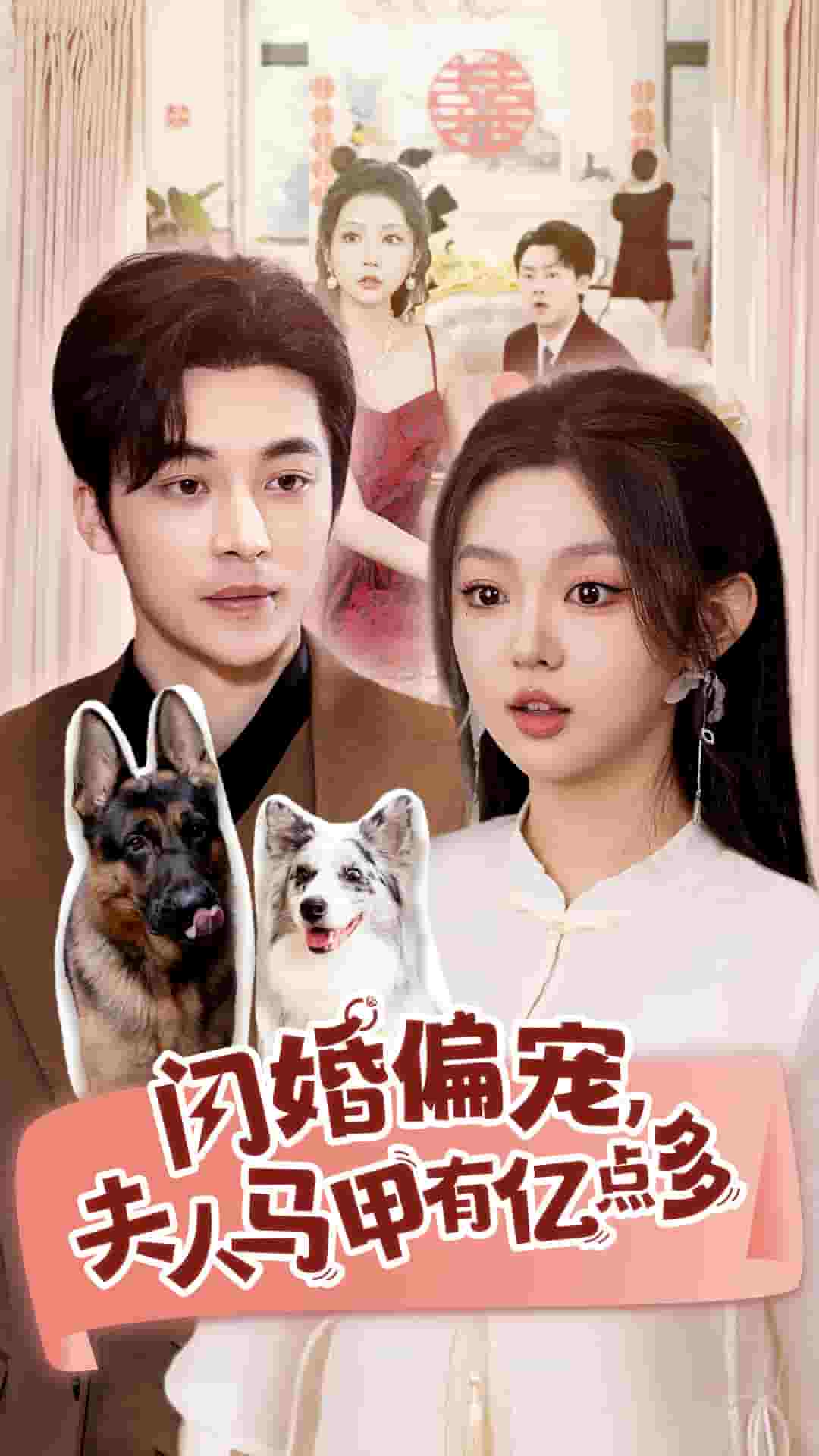 闪婚偏宠夫人马甲有亿点多全集