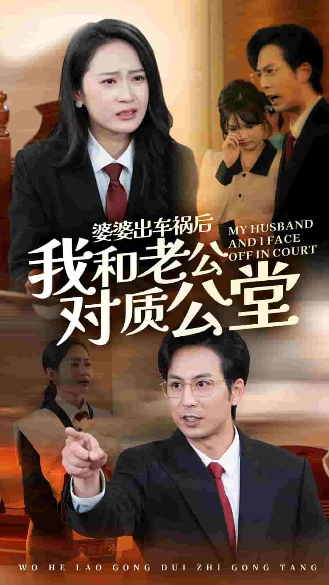 婆婆出车祸后我和老公对质公堂全集