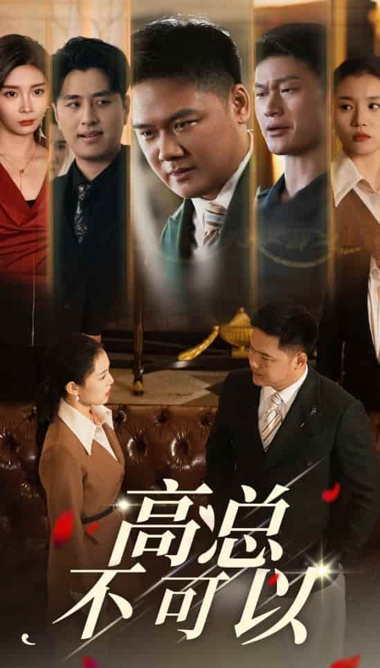 高总不可以全集