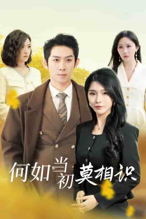 何如当初莫相识全集