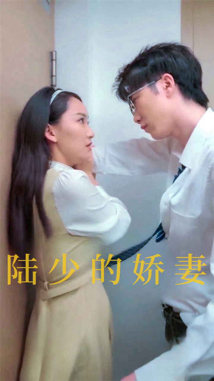 陆少的娇妻全集