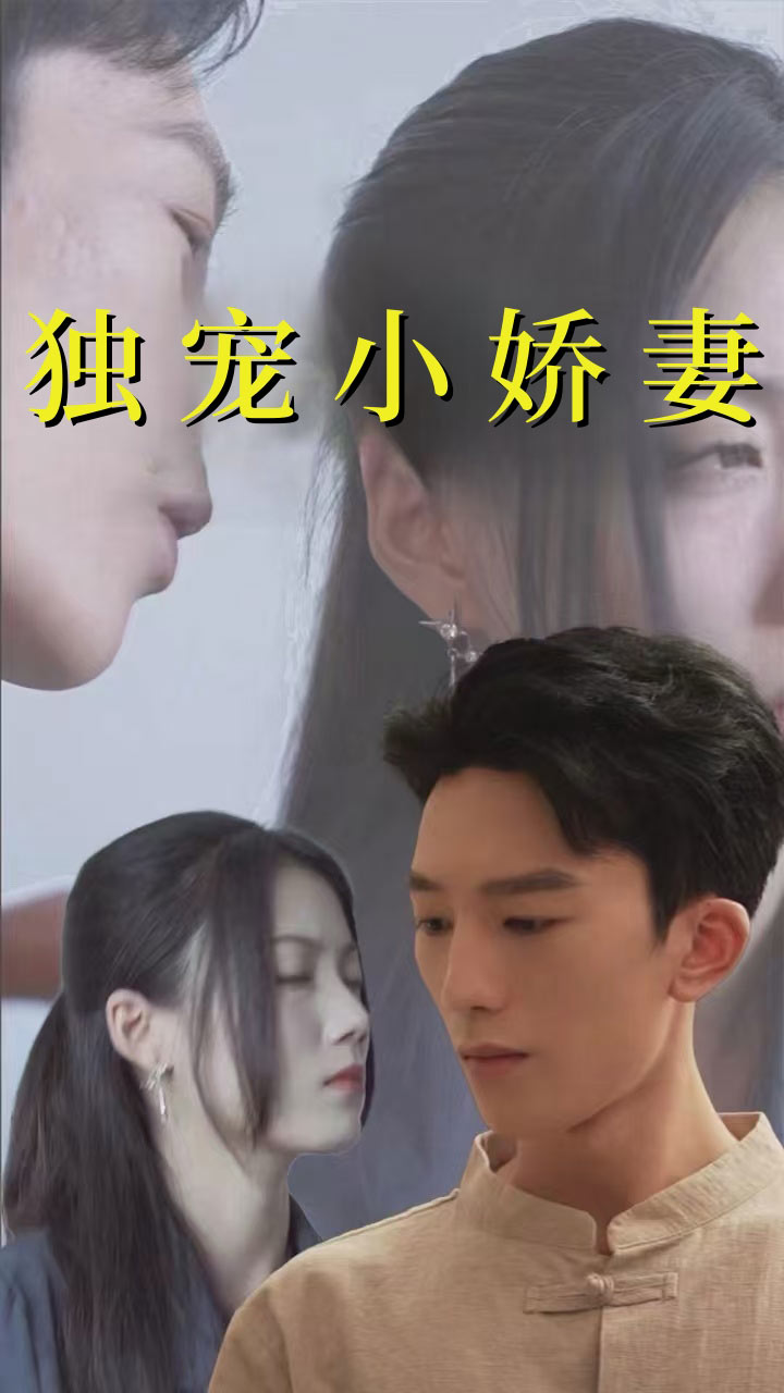 独宠小娇妻全集