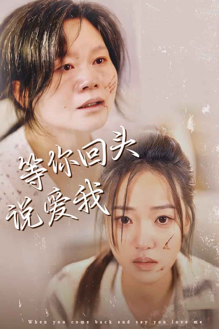 等你回头说爱我全集