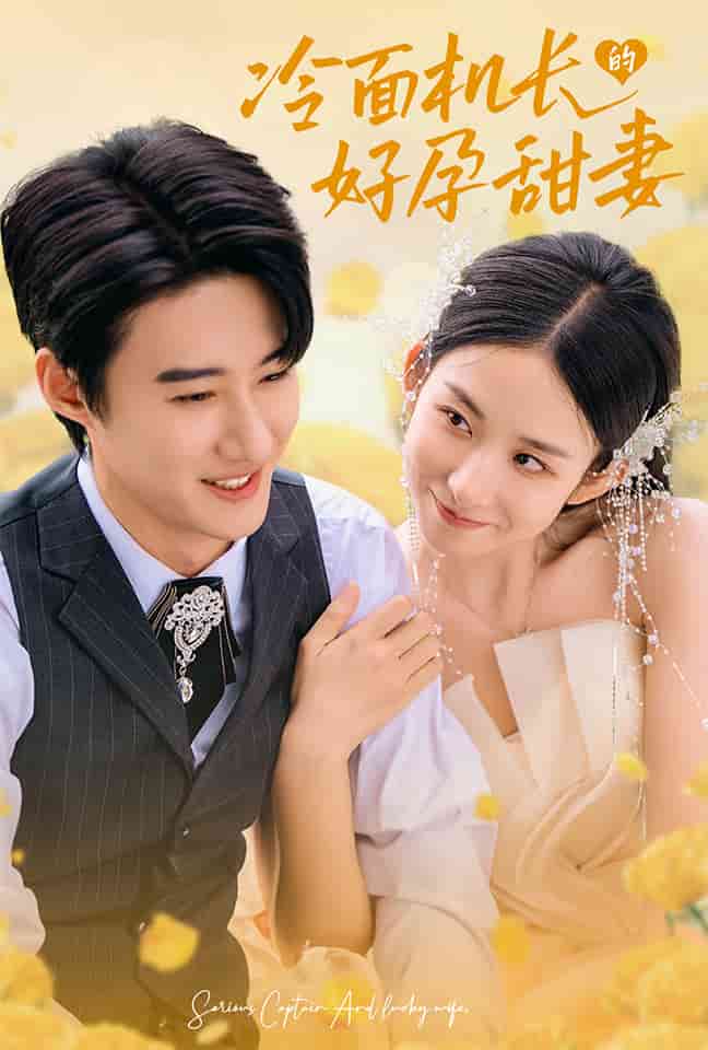 冷面机长的好孕甜妻全集