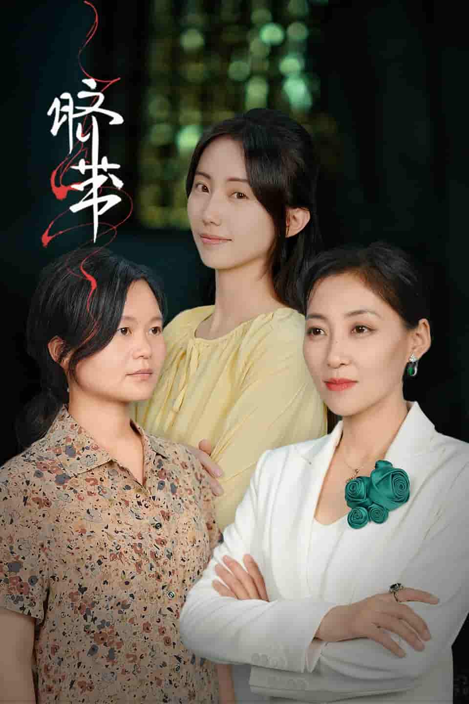 脐带 短剧版全集