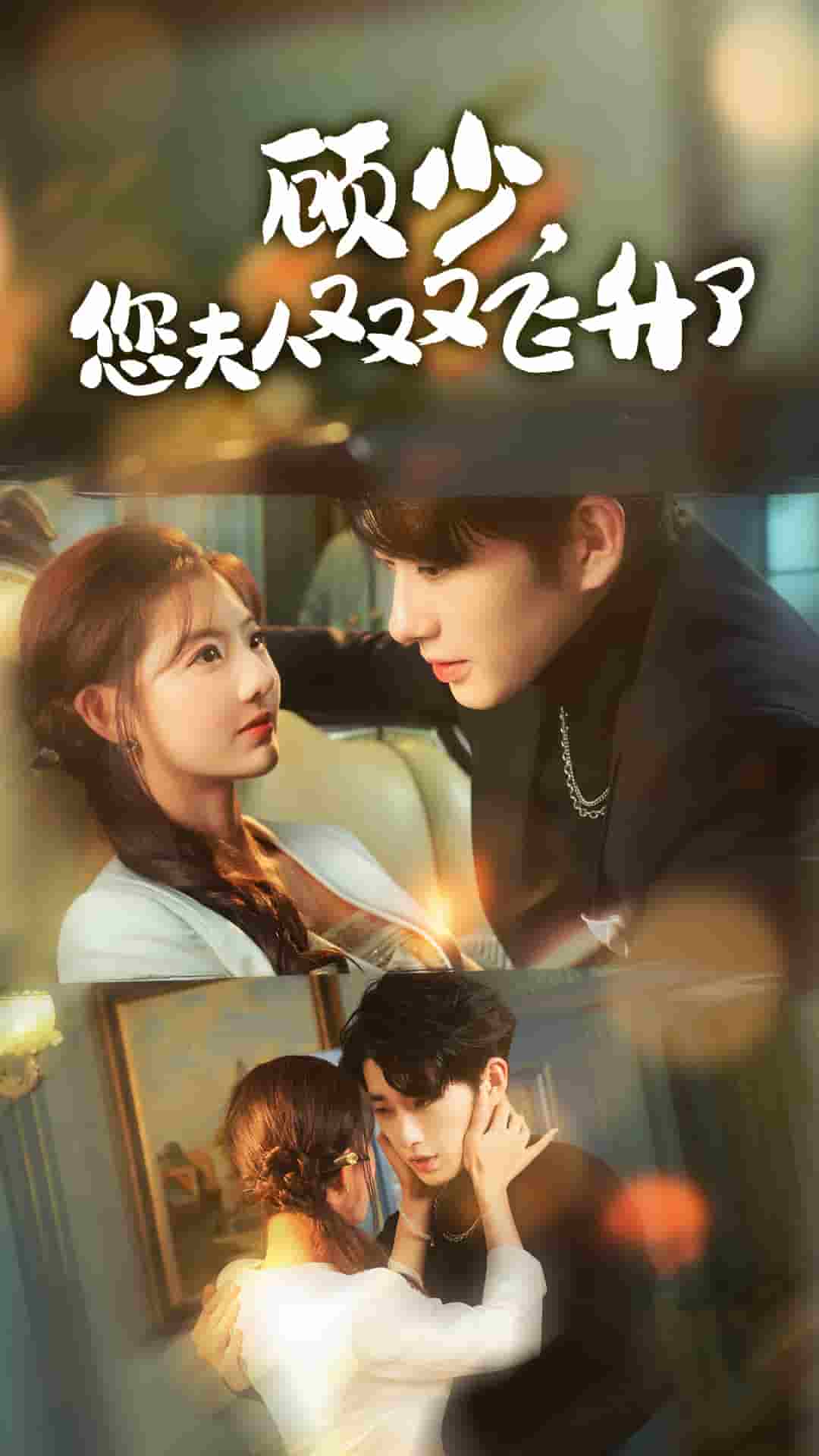 顾少您夫人又又又飞升了全集