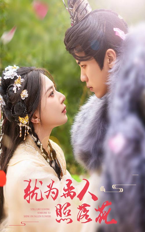 犹为离人照落花全集