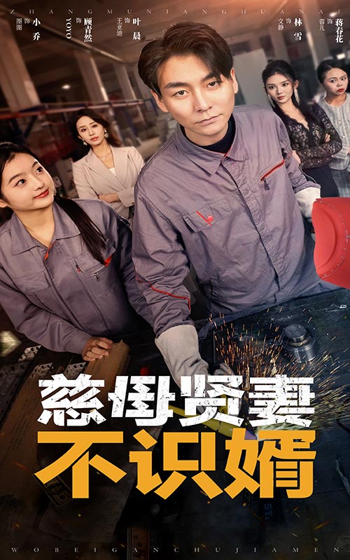 慈母贤妻不识婿全集