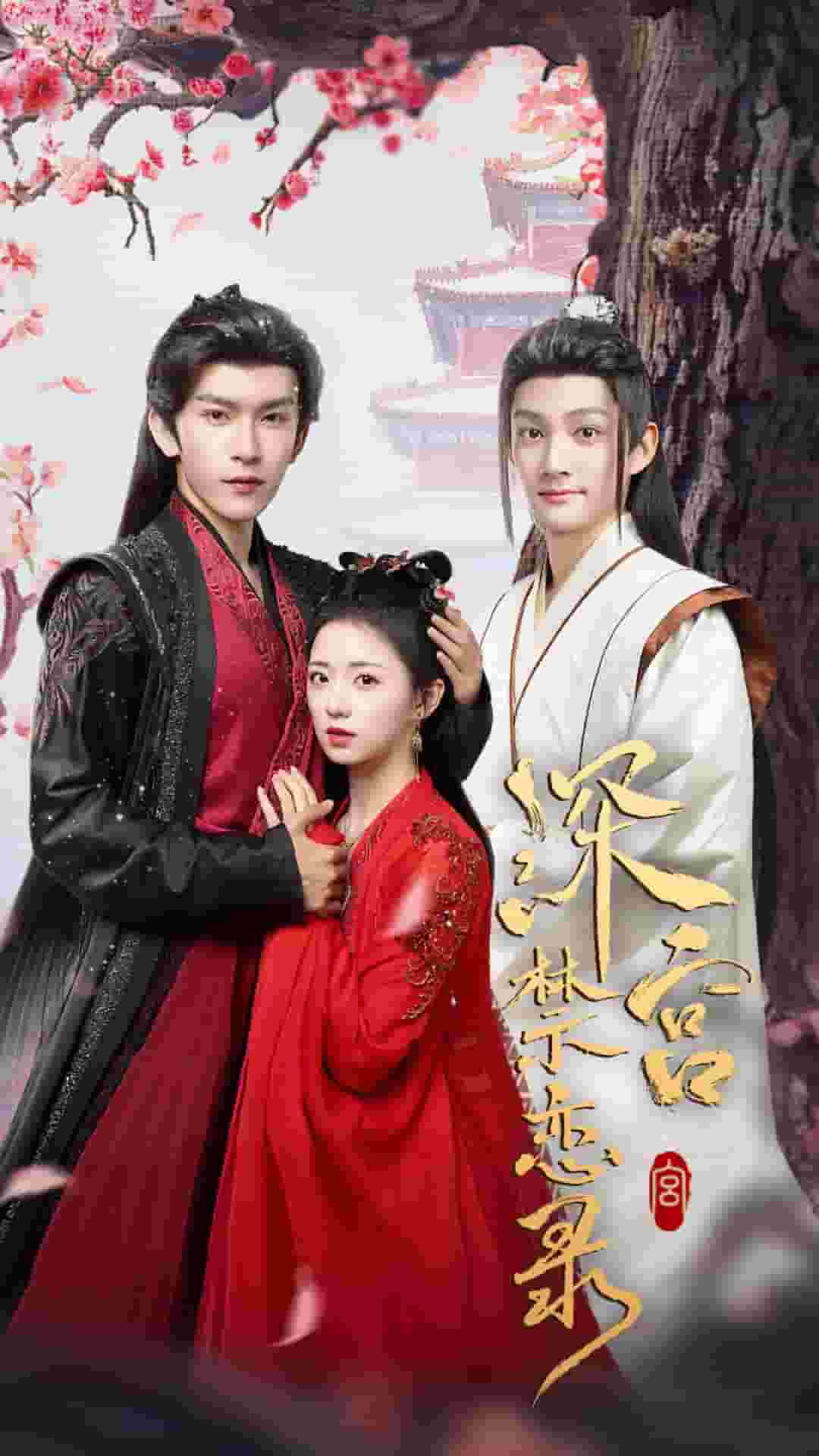 深宫禁恋录全集