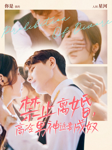 禁止离婚，高冷男神追妻成奴全集