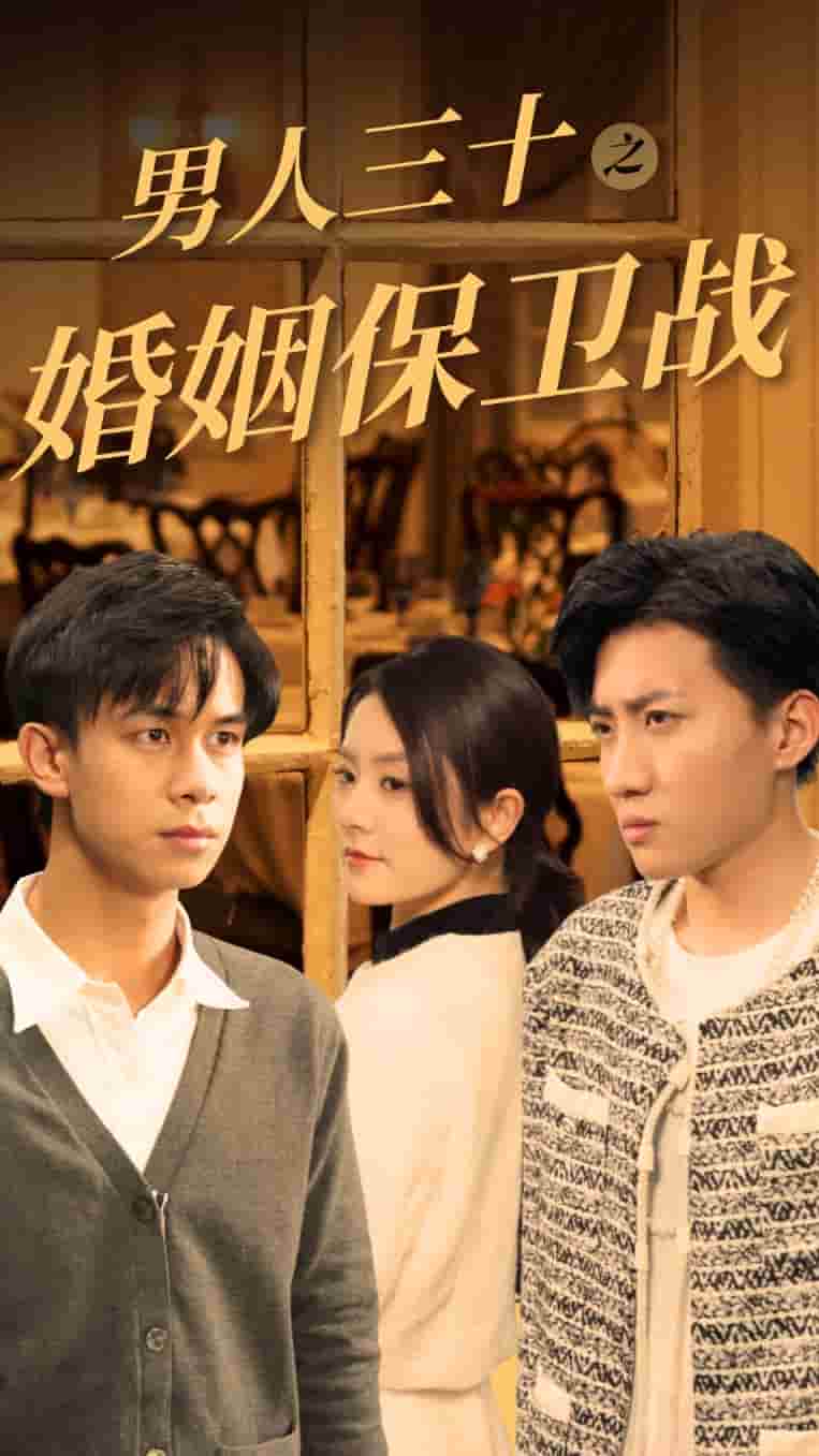 男人三十之婚姻保卫战全集