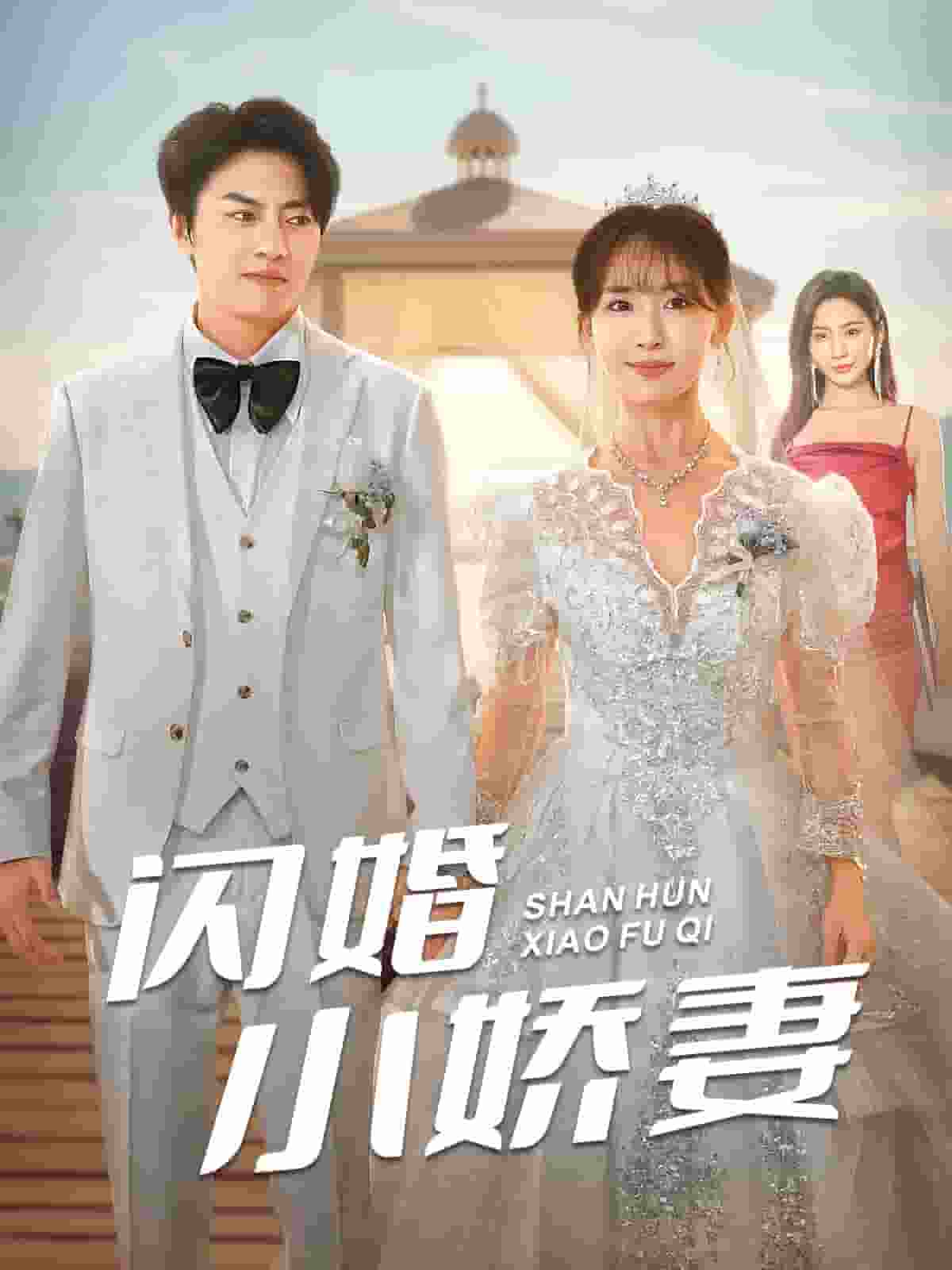 闪婚小娇妻全集