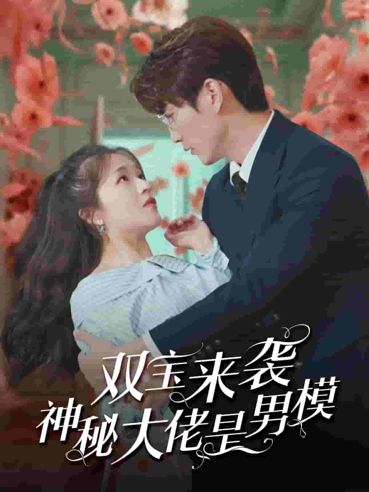 双宝来袭神秘大佬是男模全集