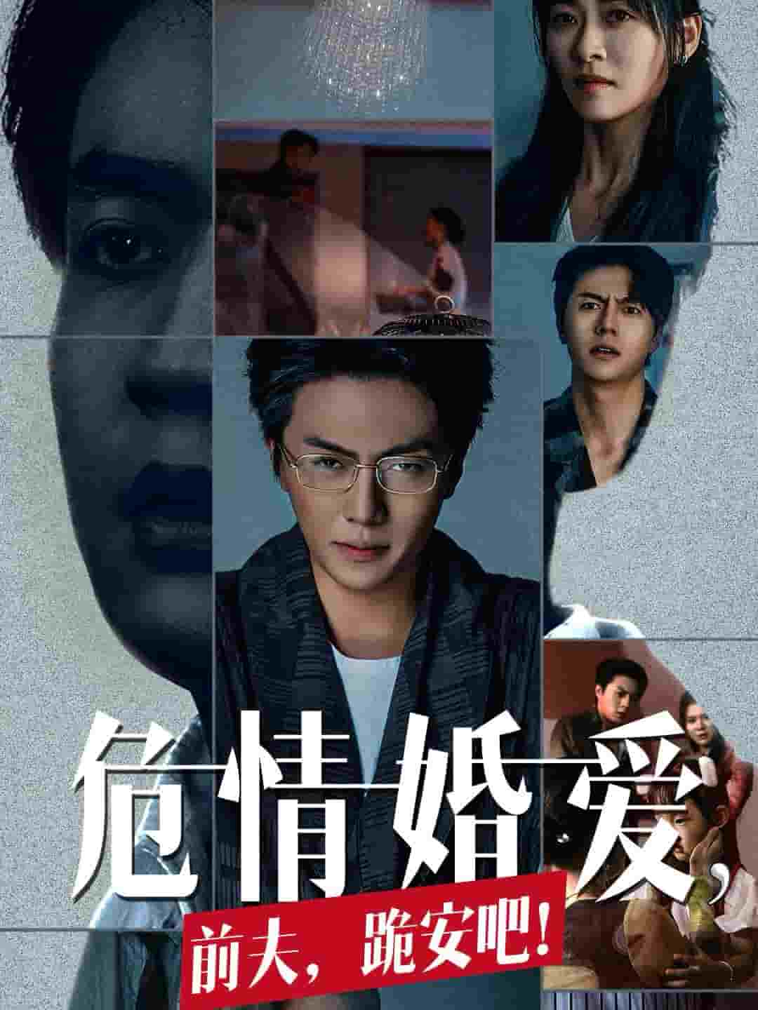 危情婚爱前夫跪安吧全集