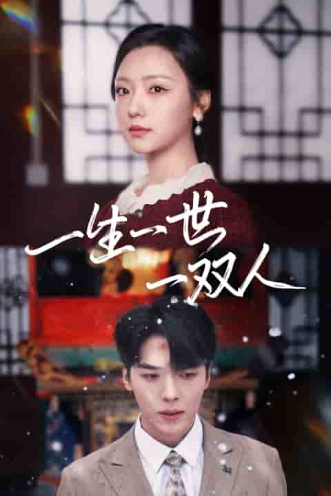 一生一世一双人全集