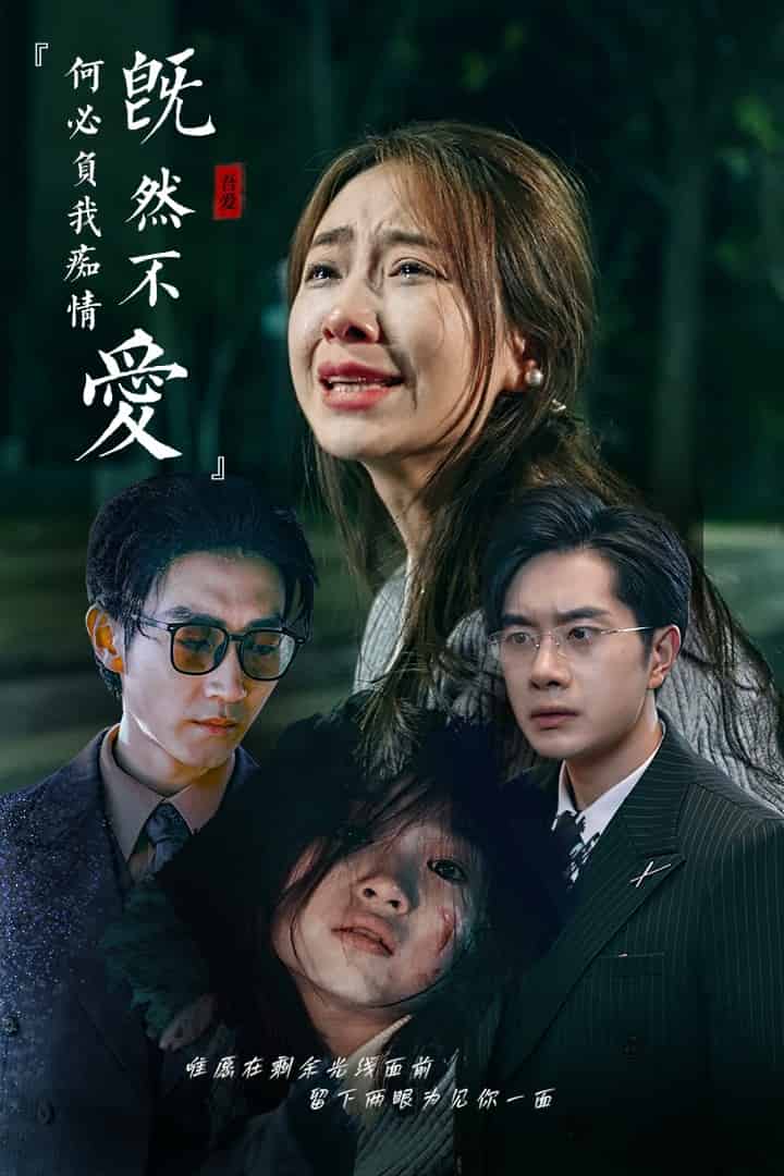 既然不爱何必负我痴情全集