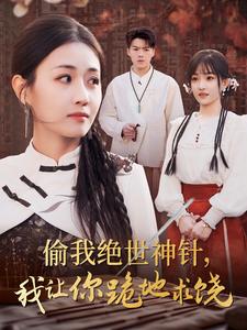 偷我绝世神针我让你跪地求饶全集