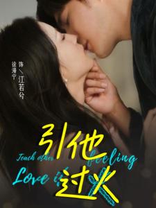 引他过火全集