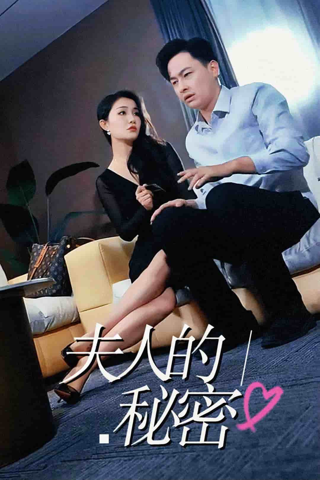 夫人的秘密全集