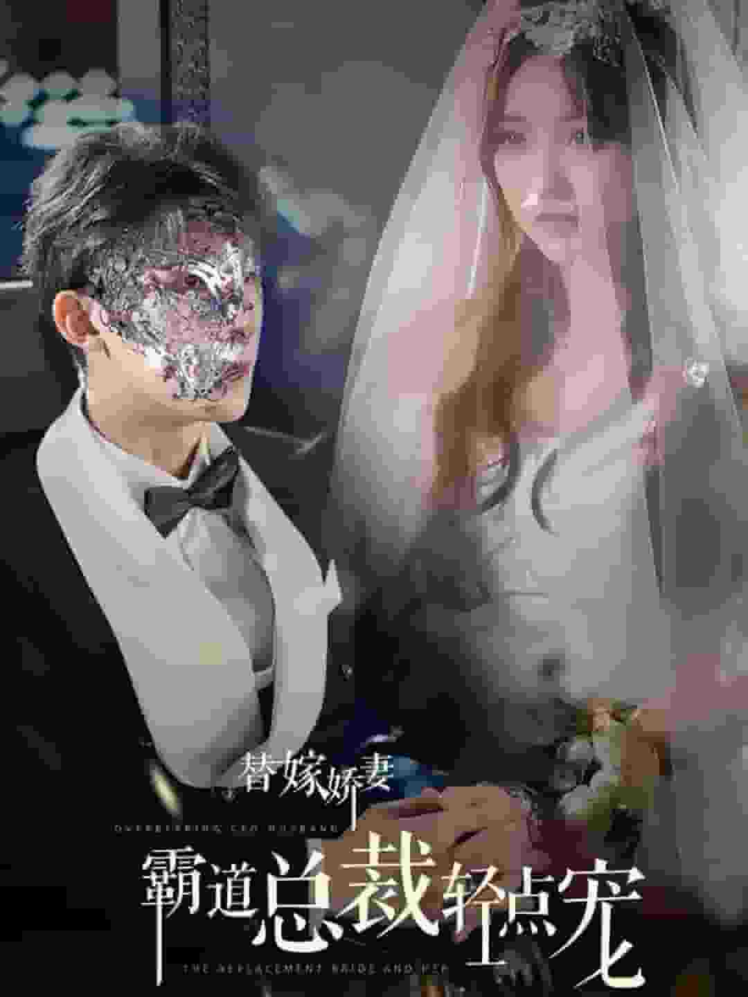 替嫁娇妻偏执总裁轻点宠全集