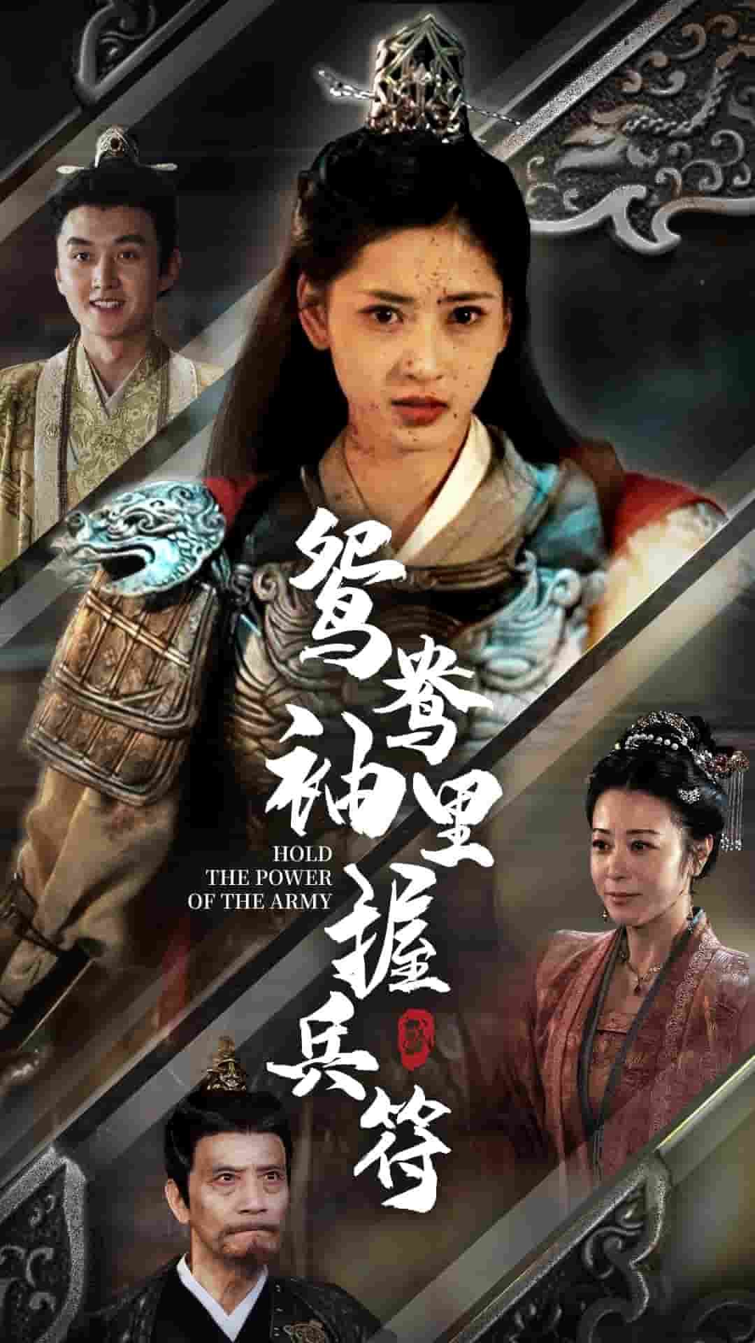 鸳鸯袖里握兵符全集