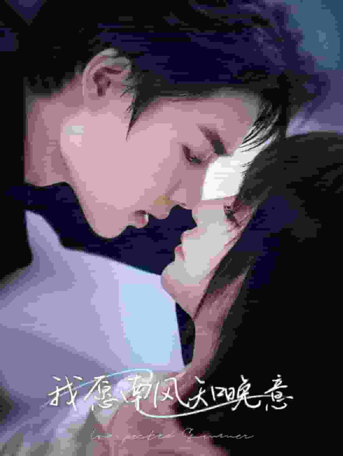 我愿南风知晚意全集