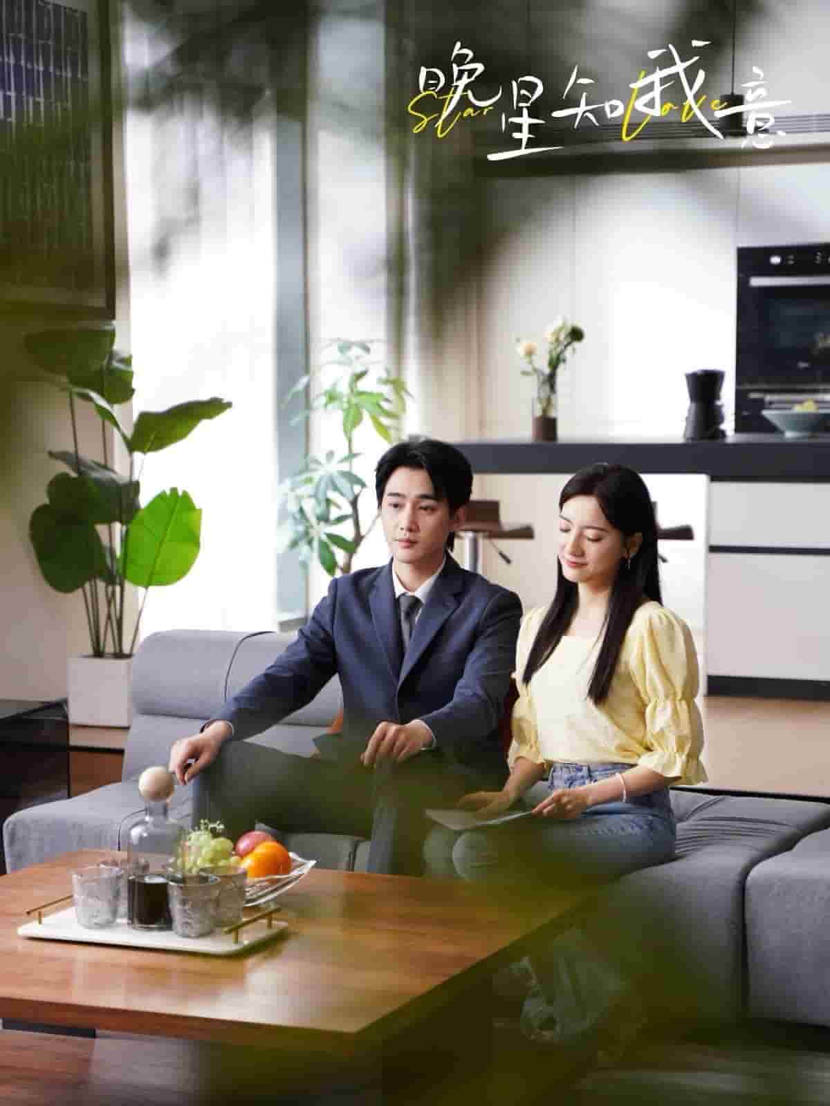 晚星知我意全集