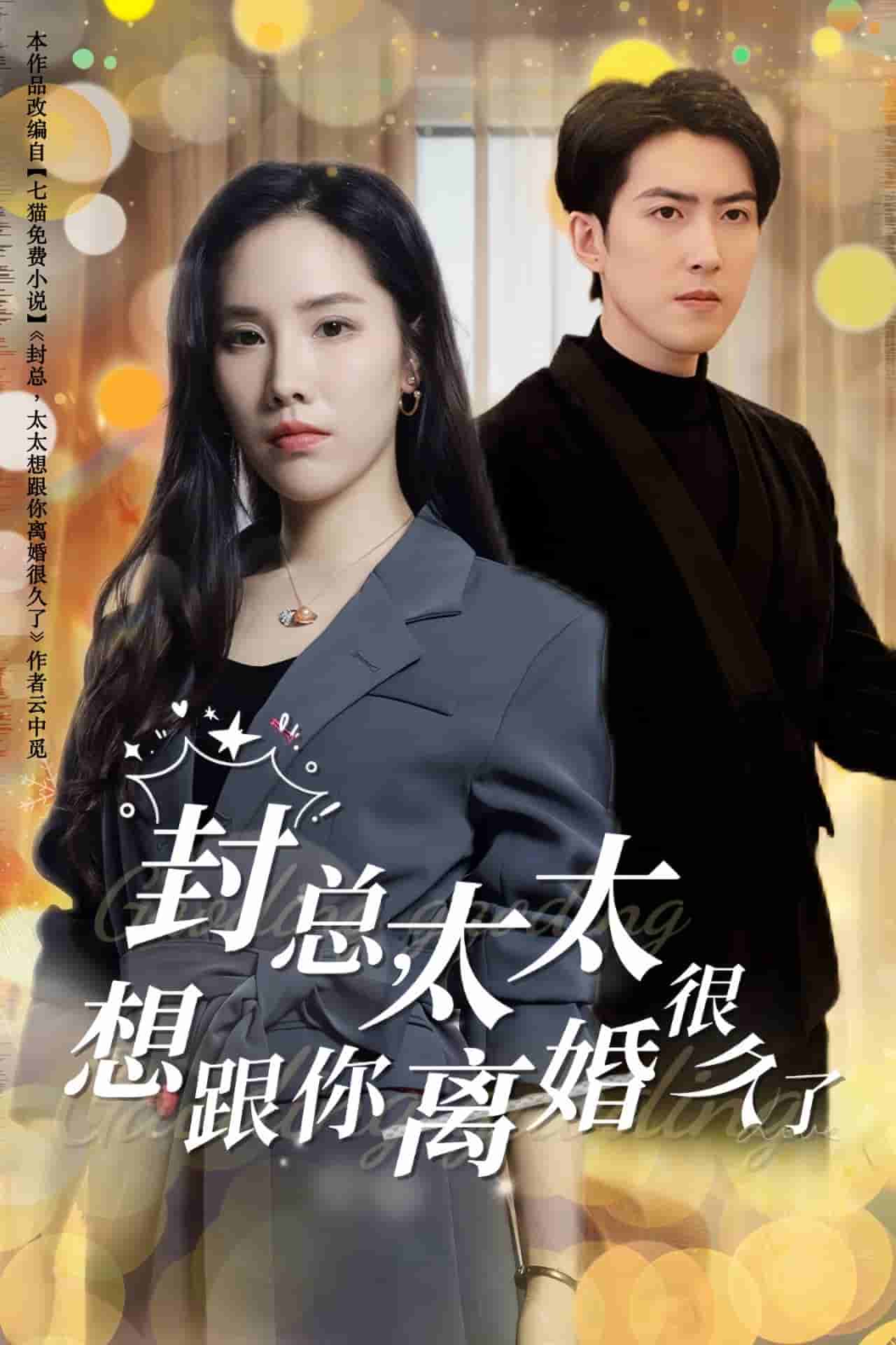 封总太太想跟你离婚很久了全集