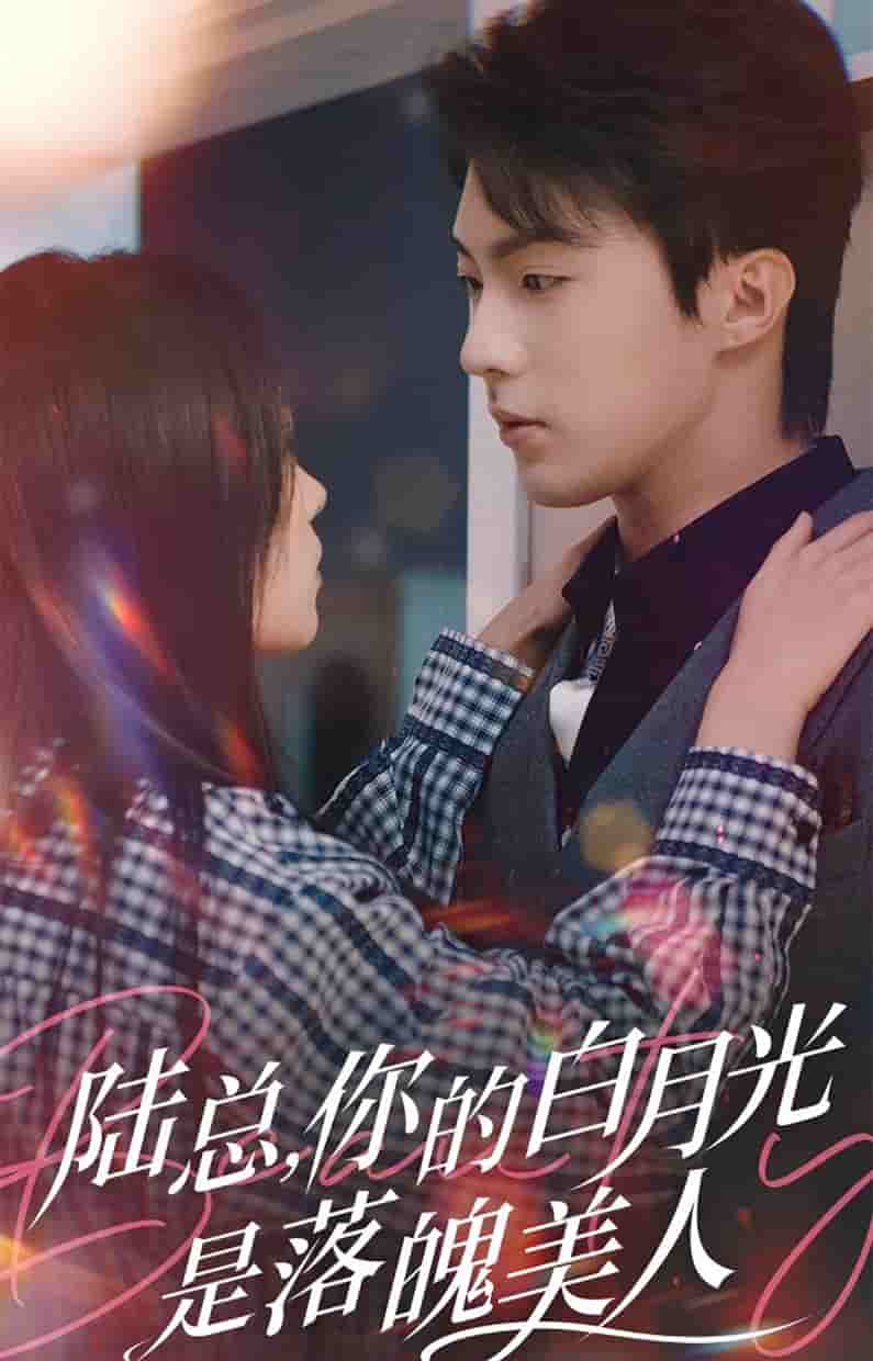 陆总你的白月光是落魄美人全集