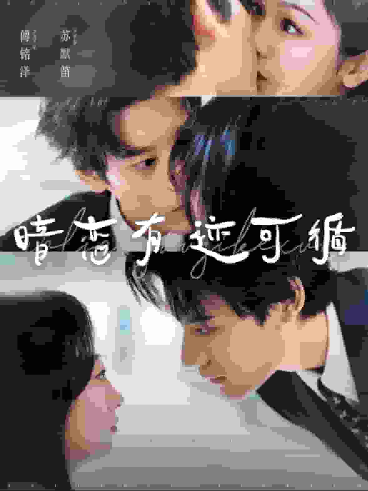 暗恋有迹可循全集