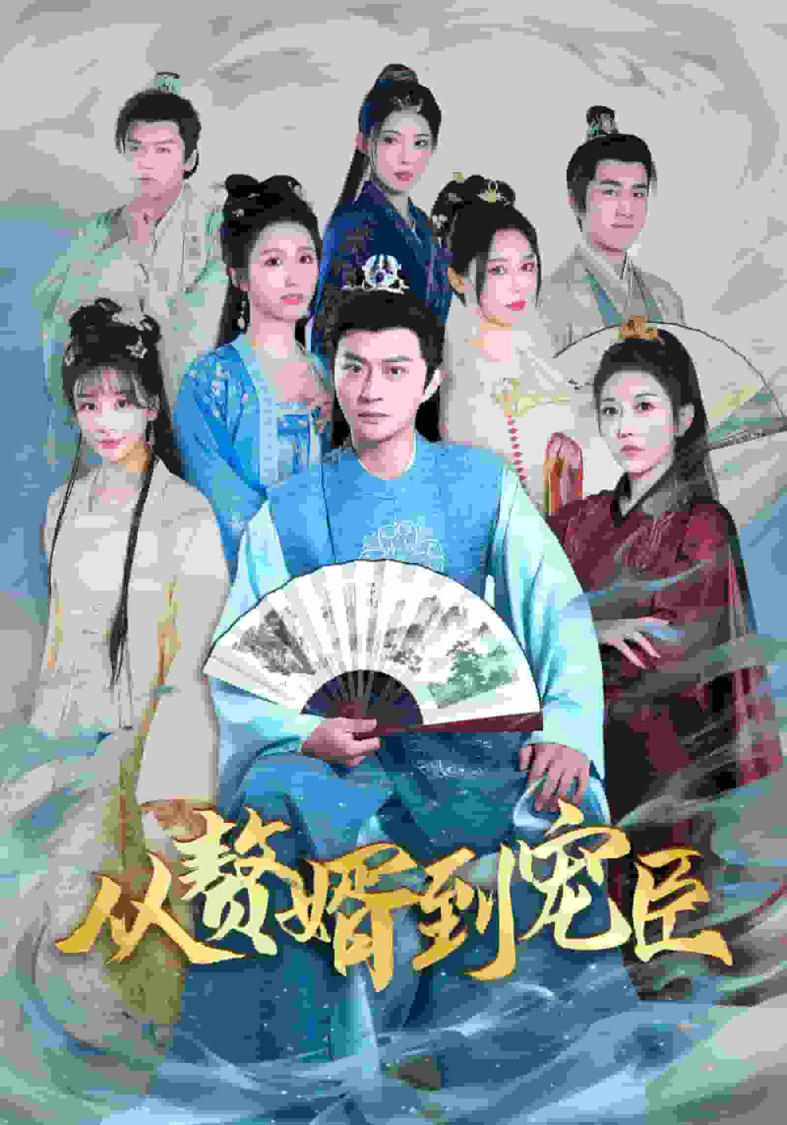 从赘婿到宠臣全集