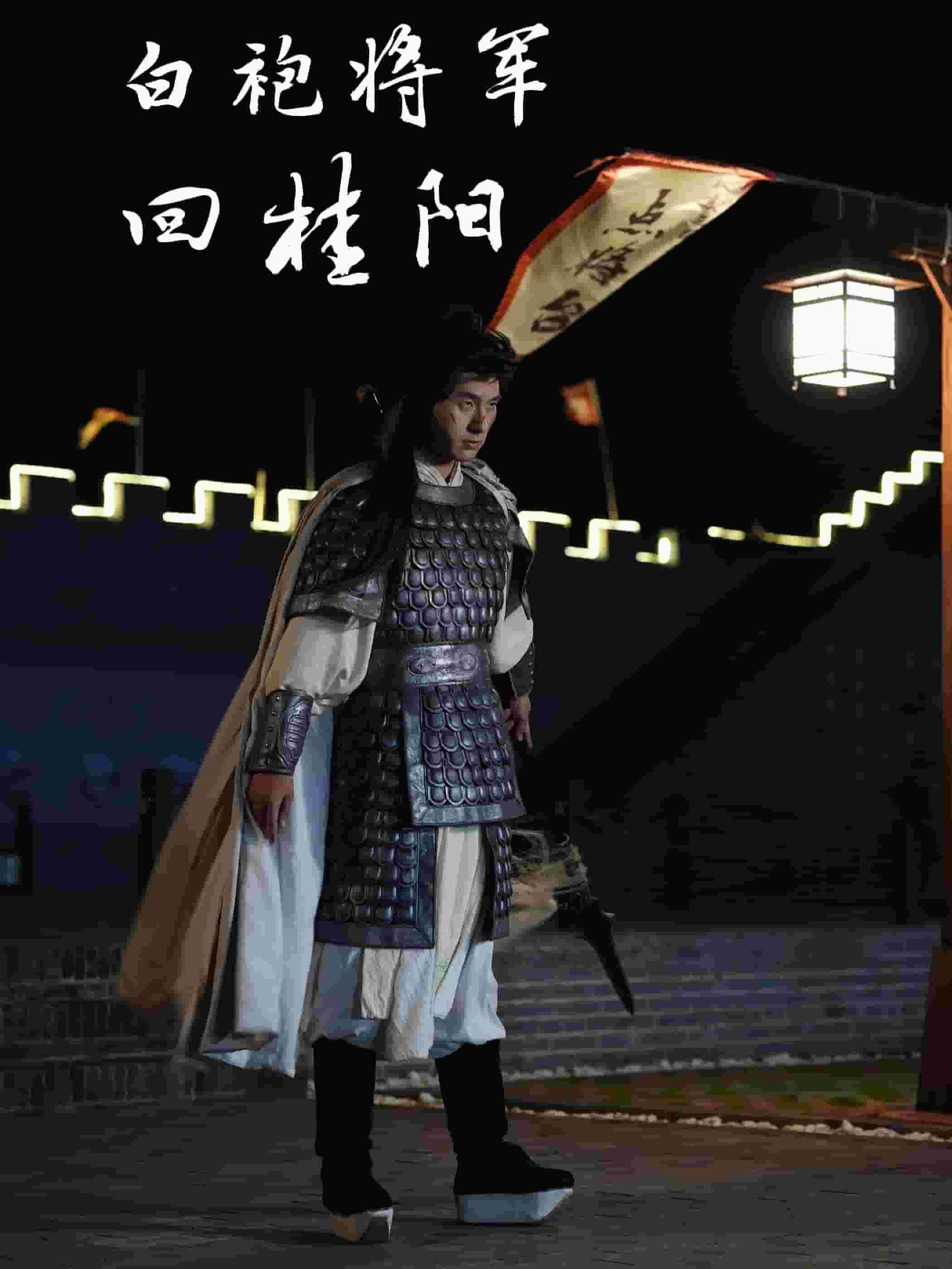 白袍将军回桂阳全集