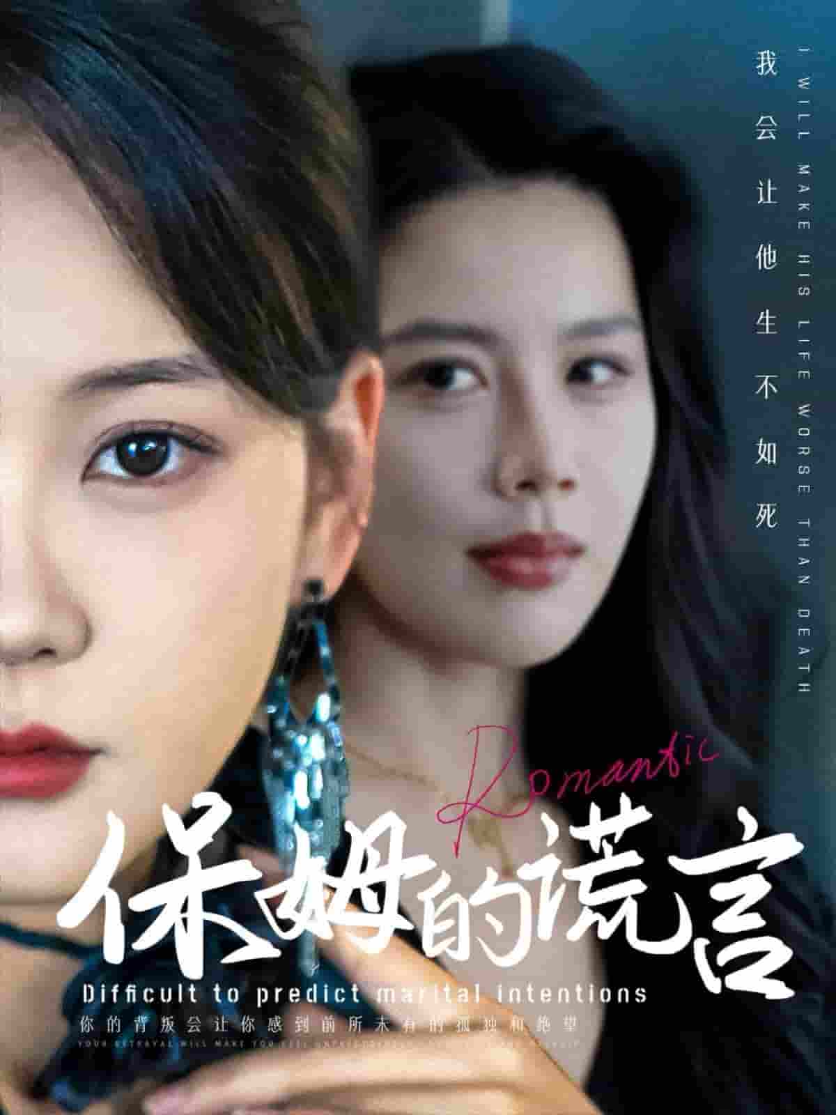 保姆的谎言全集