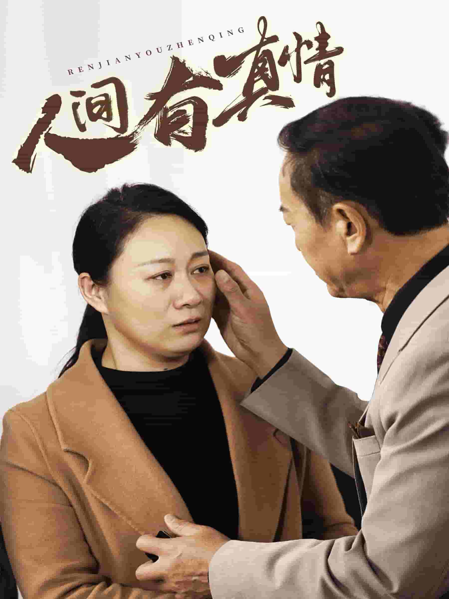 人间有真情全集