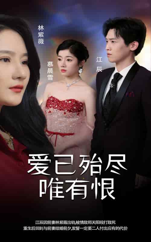 爱已殆尽唯有恨全集