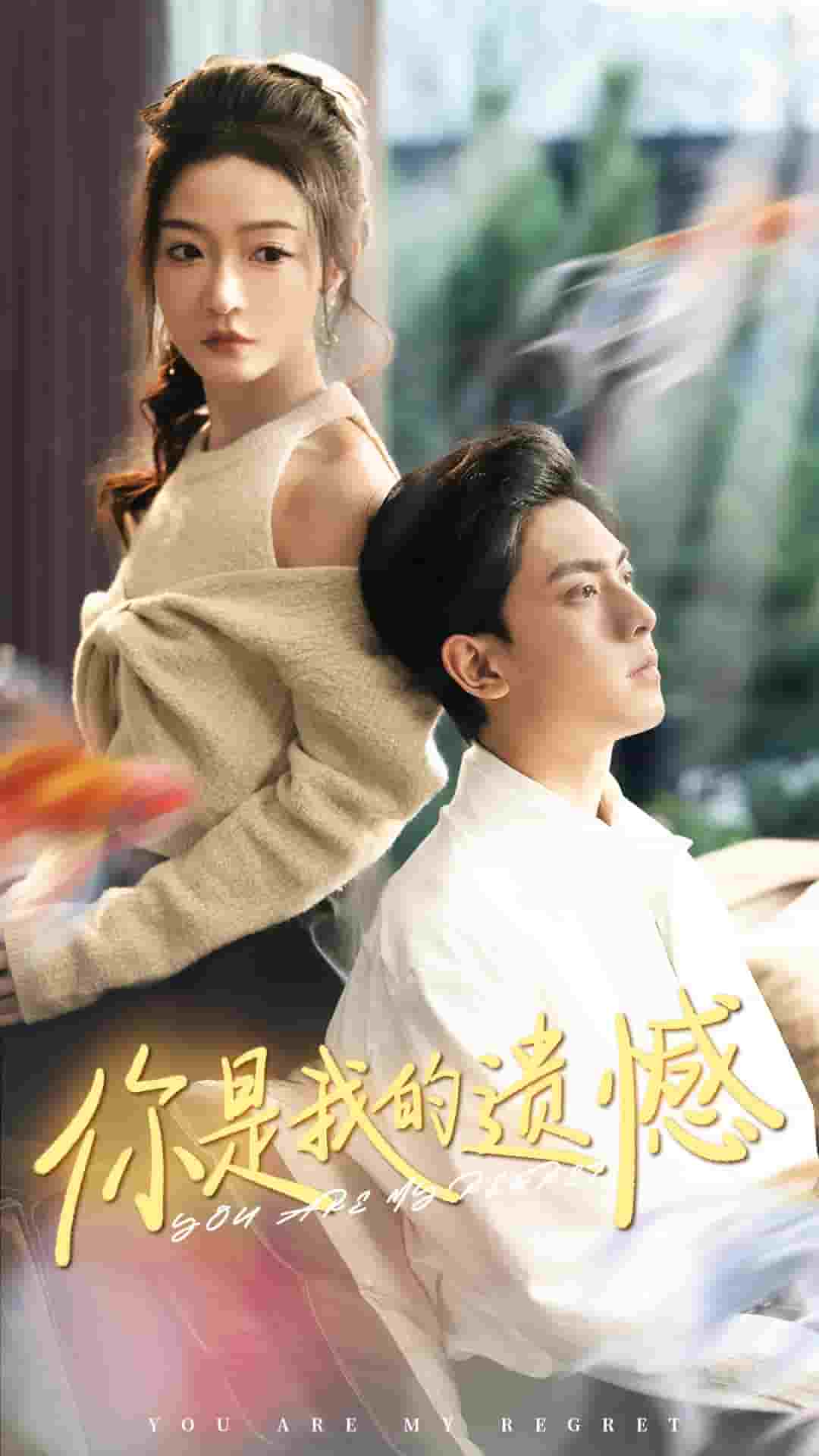 你是我的遗憾全集