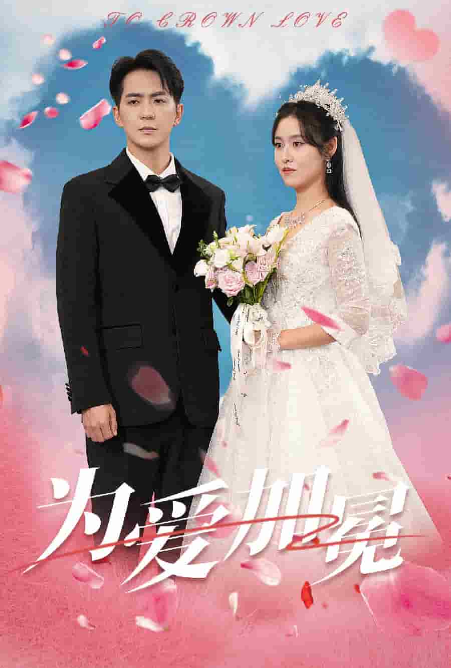 为爱加冕全集