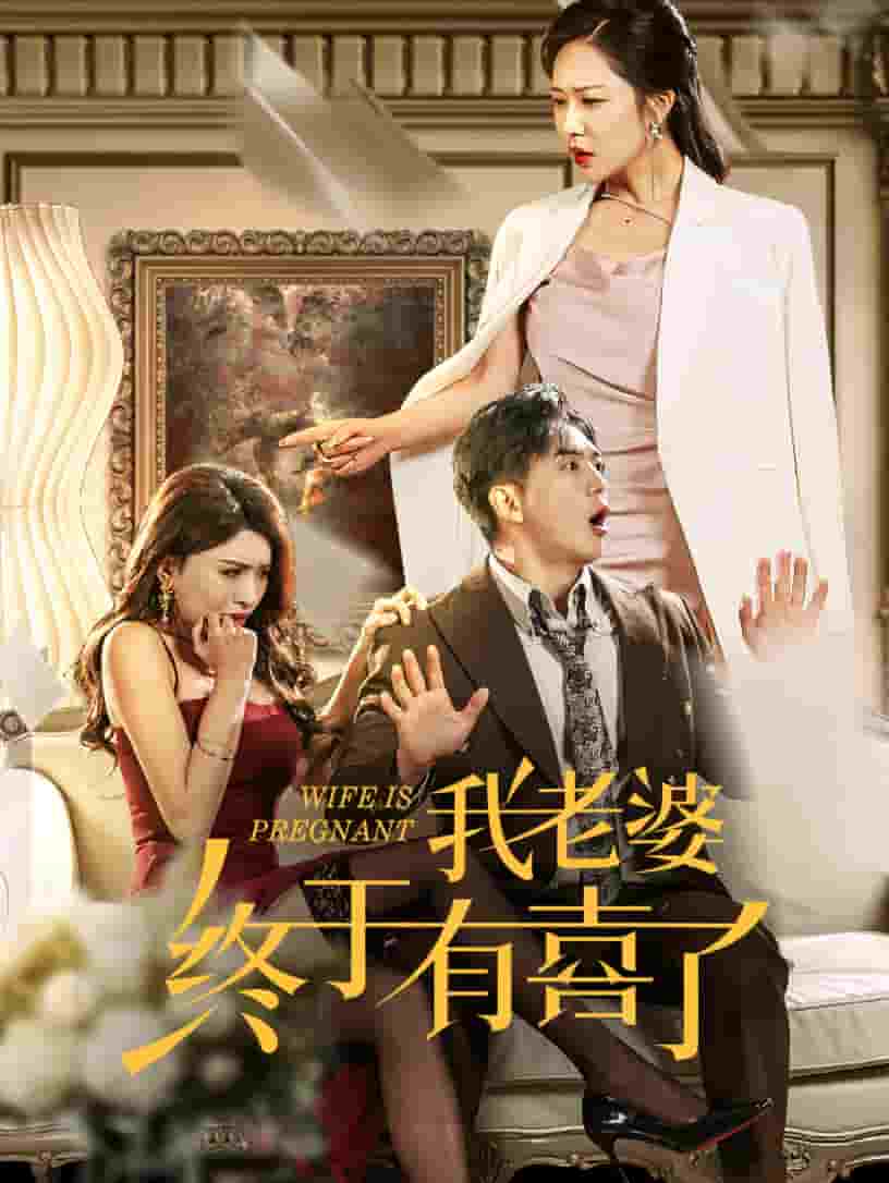 我老婆终于有喜了全集