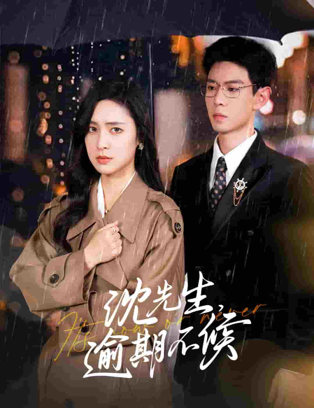 沈先生逾期不候全集