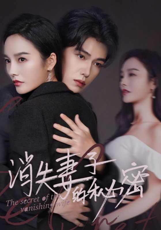 消失妻子的秘密全集