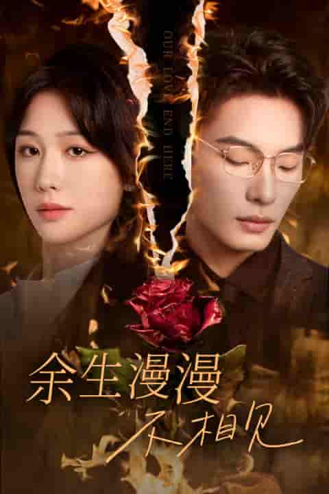 余生漫漫不相见全集