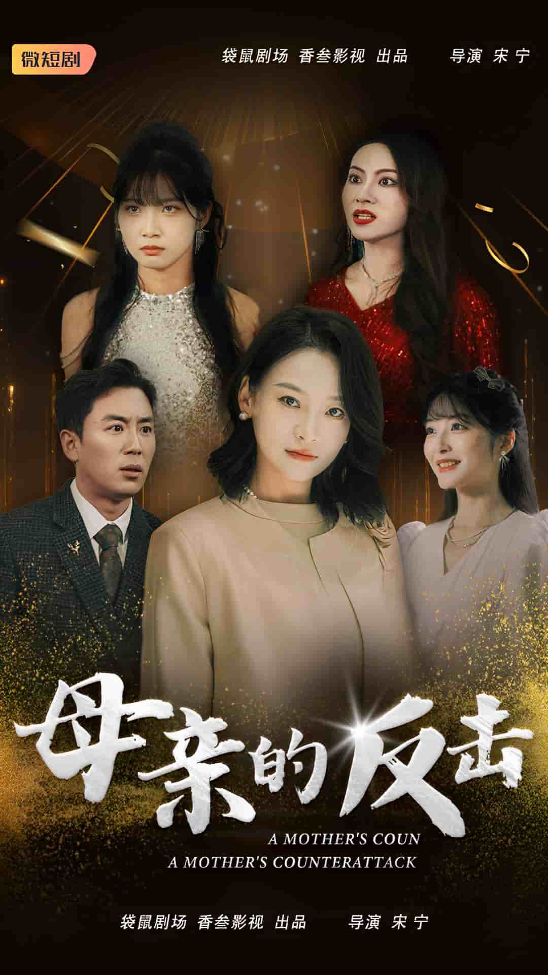 母亲的反击全集