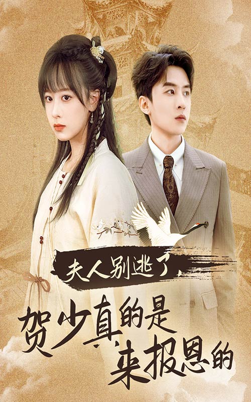 夫人别逃了贺少真的是来报恩的全集