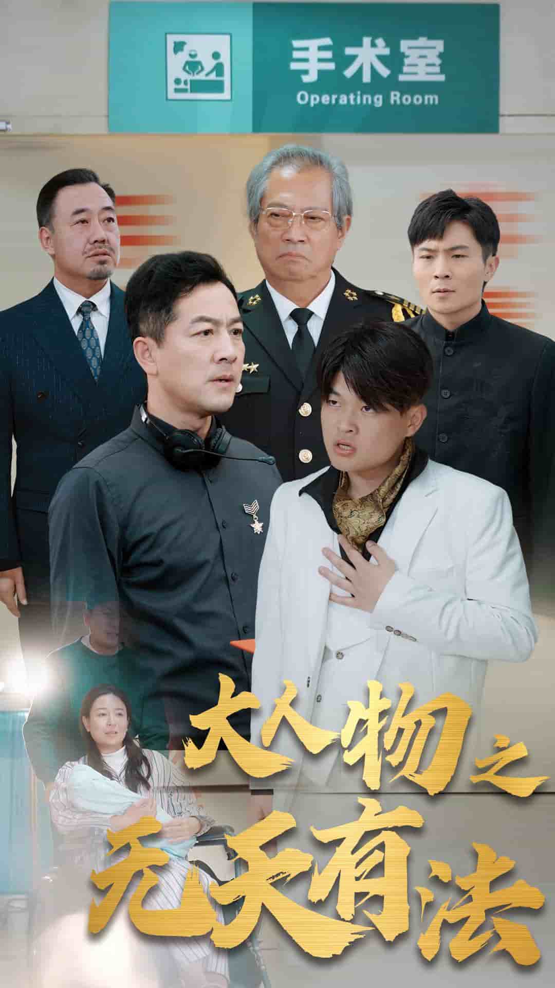 新大人物之无天有法全集